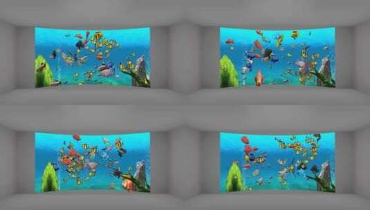 裸眼3D鱼 8K宽屏高清在线视频素材下载