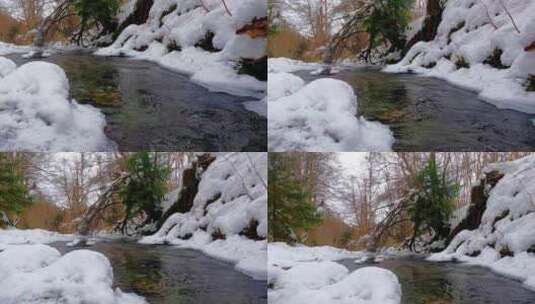 冷雪木景观高清在线视频素材下载