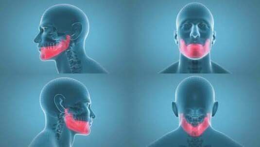 下颌高清在线视频素材下载