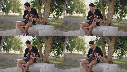 公园长椅上的手风琴旋律高清在线视频素材下载