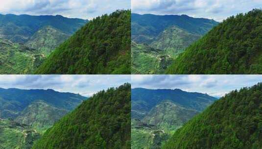 茶山 山川 云海 云南原始森林 大好河山高清在线视频素材下载