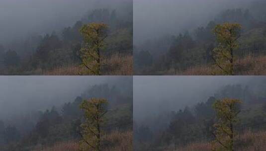6K南方山区下雨云雾缭绕【延时】高清在线视频素材下载