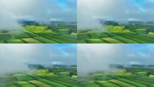 雨后的田野云雾缭绕清新美丽高清在线视频素材下载