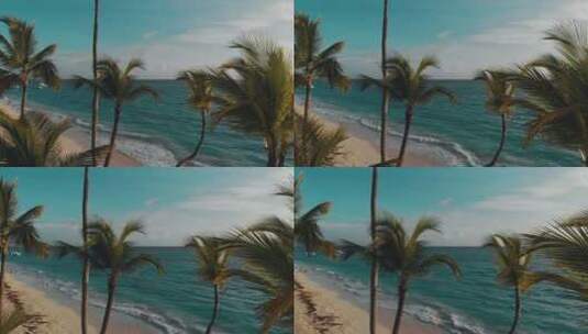 热带海滩棕榈树风景高清在线视频素材下载