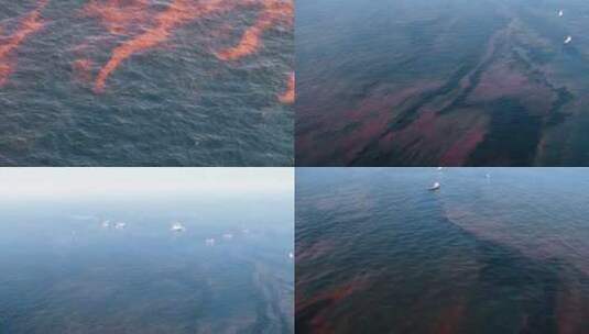 英国海域石油泄漏高清在线视频素材下载