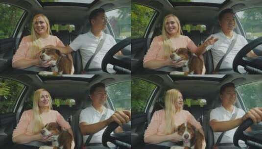 年轻的多民族夫妇在一个汽车里带着一条狗高清在线视频素材下载