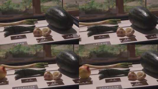 古代不同时期引入的蔬菜水果农作物 ~高清在线视频素材下载