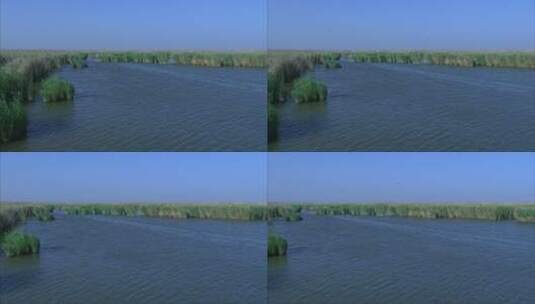 宁夏沙湖风吹水面波动 芦苇摇摆 远景 摇高清在线视频素材下载