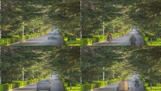 优美小路  延时摄影   城市空镜头 绿化小路高清在线视频素材下载