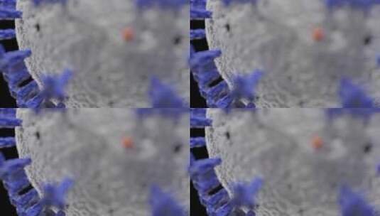 冠状病毒微观3D动态效果高清在线视频素材下载