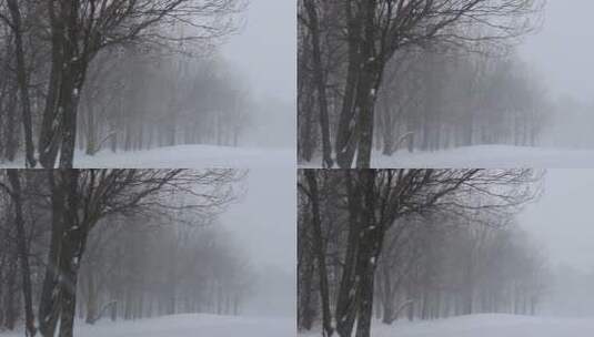 冬天暴雪特写镜头高清在线视频素材下载