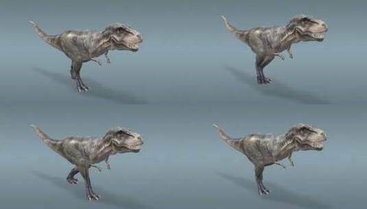 侏罗纪 霸王龙 远古时期 博物馆 动物园高清在线视频素材下载