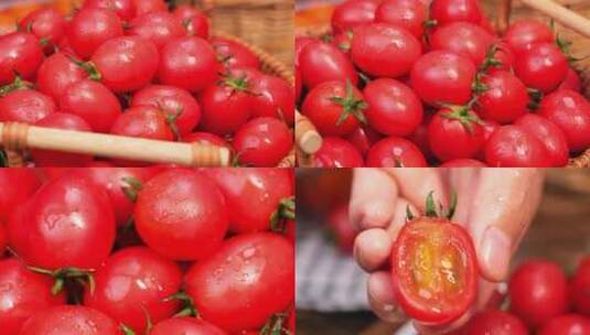小番茄 小西红柿 新鲜圣女果高清在线视频素材下载