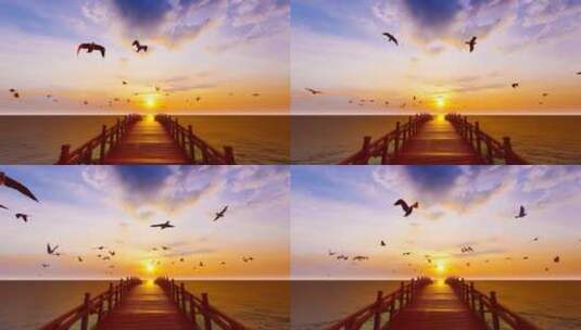 大海黄昏落日码头海鸥飞翔高清在线视频素材下载