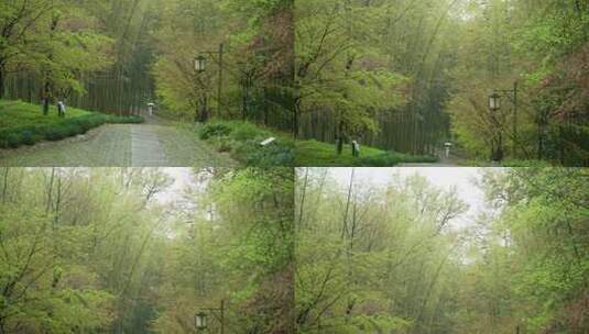 杭州云栖竹径春季清明节雨天古建筑自然唯美高清在线视频素材下载