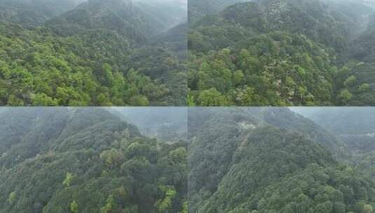 烟雨云雾缥缈的大山高清在线视频素材下载