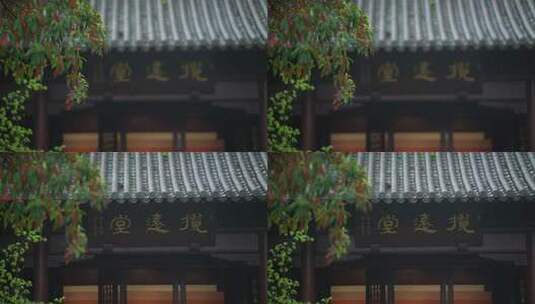 杭州钱王祠春天清明节雨天古建筑自然唯美高清在线视频素材下载