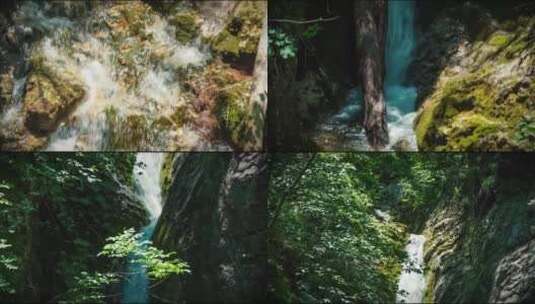 夏日森林溪流瀑布阳光植物高清在线视频素材下载