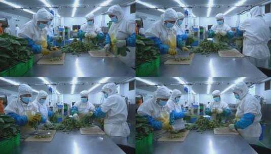 蔬菜加工 农产品加工 (23)高清在线视频素材下载