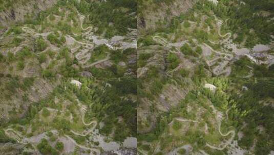 瑞士阿尔卑斯山自然小径的无人机视图。杉树森林高清在线视频素材下载