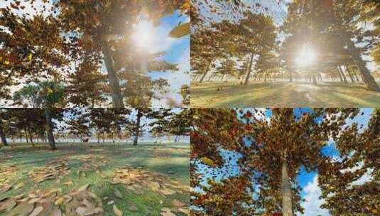 深秋小树林金色树叶飘落慢动作高清在线视频素材下载