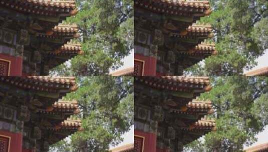 故宫传统古建筑屋檐琉璃瓦高清在线视频素材下载