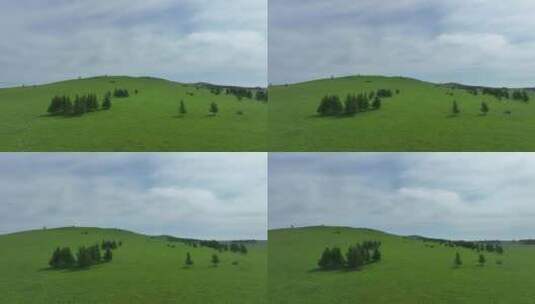 绿色牧场山花盛开的草甸高清在线视频素材下载
