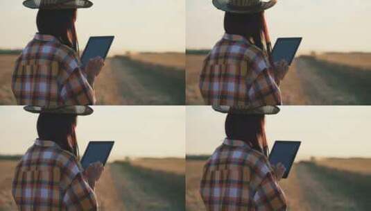 农民站在麦田里，使用数字平板电脑在日落背景下工作高清在线视频素材下载