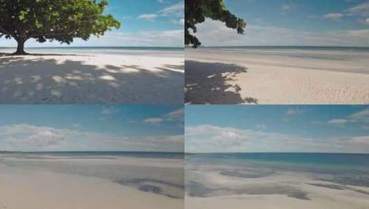白沙和树的海滩高清在线视频素材下载