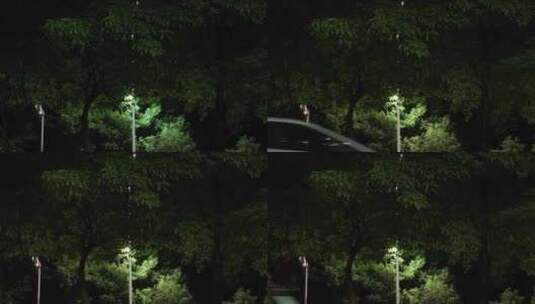 广东惠州夜景航拍高清在线视频素材下载
