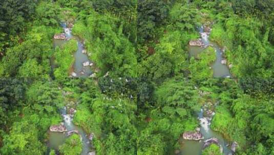 海南保亭黎族自治县热带雨林云海高视角航拍高清在线视频素材下载