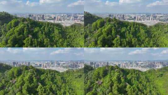 4K深圳市光明大雁山森林公园20高清在线视频素材下载