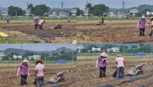 惠州万亩现代化实验农田航拍高清在线视频素材下载