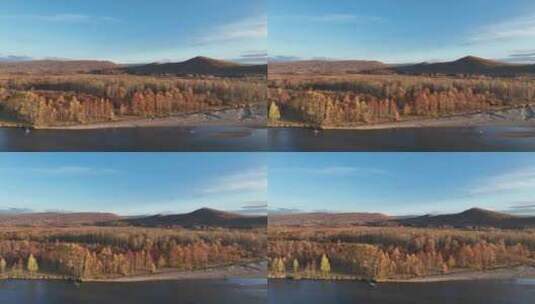北纬50°冻土森林秋景高清在线视频素材下载