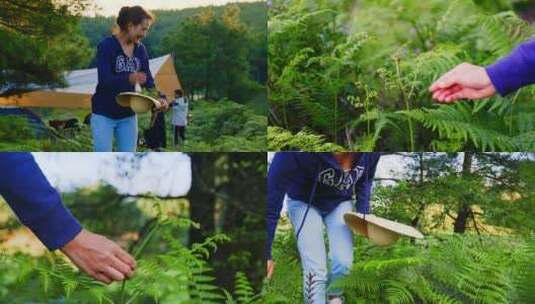 户外露营山里采野菜蕨类植物蕨苔蕨菜的姑娘高清在线视频素材下载