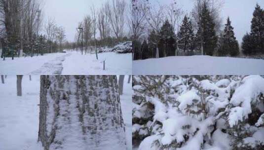 冬季雪景高清在线视频素材下载