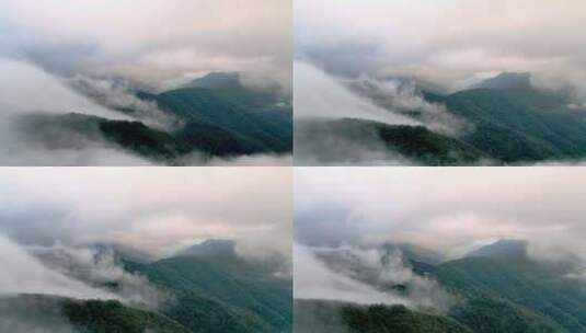 航拍森林平流雾云海高清在线视频素材下载