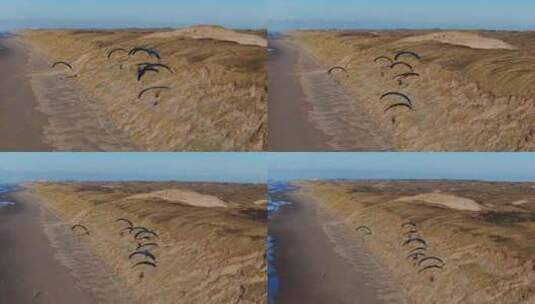 荷兰卡斯特里厄姆海滩，一群滑翔伞沿着长满高清在线视频素材下载