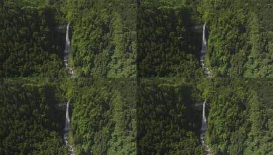 缓慢倾斜显示日本最大瀑布那赤瀑布的照片高清在线视频素材下载