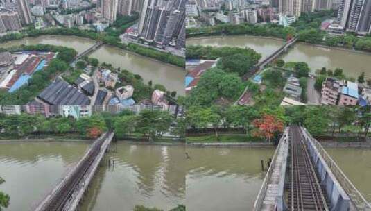 中国广东省广州市荔湾区花地河凤凰花高清在线视频素材下载