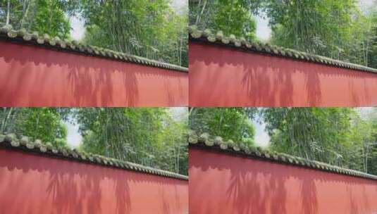 成都武侯祠博物馆红墙绿竹中国风高清在线视频素材下载