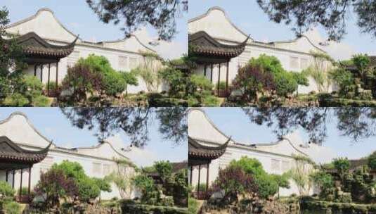 苏州园林典雅的古建筑 网师园高清在线视频素材下载