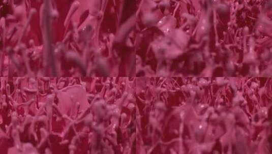 红色油漆流体飞溅高清在线视频素材下载