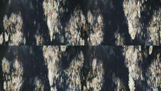 花叶粒子背景 14高清在线视频素材下载