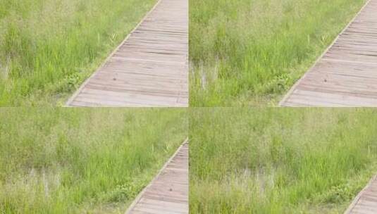 自然木桥绿草中景横移高清在线视频素材下载
