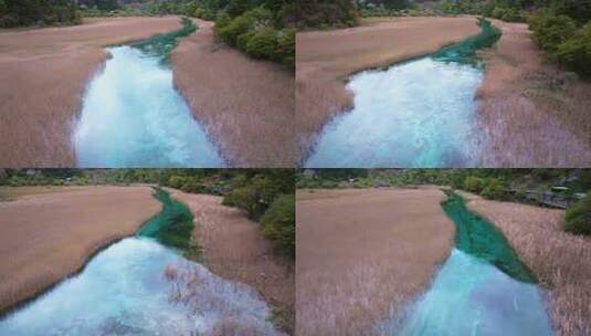 唯美航拍川西九寨沟芦苇海河流湿地湖水彩林高清在线视频素材下载