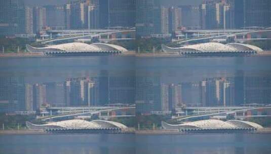 8K深圳欢乐港湾鸬鹚8高清在线视频素材下载