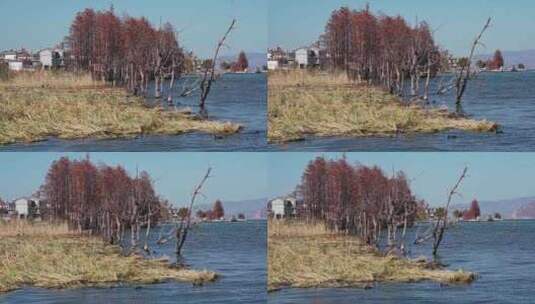 大理洱海风景高清在线视频素材下载