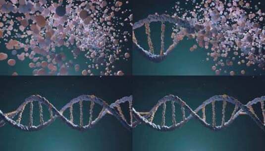 人体DNA染色体医学研究高清在线视频素材下载