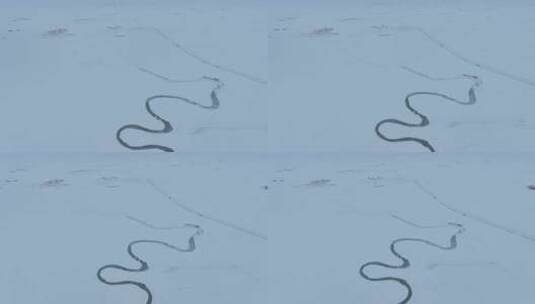 呼伦贝尔自然风光莫尔格勒河冬季雪景高清在线视频素材下载